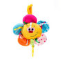 AMEK TOYS Бебешка латерна Цвете